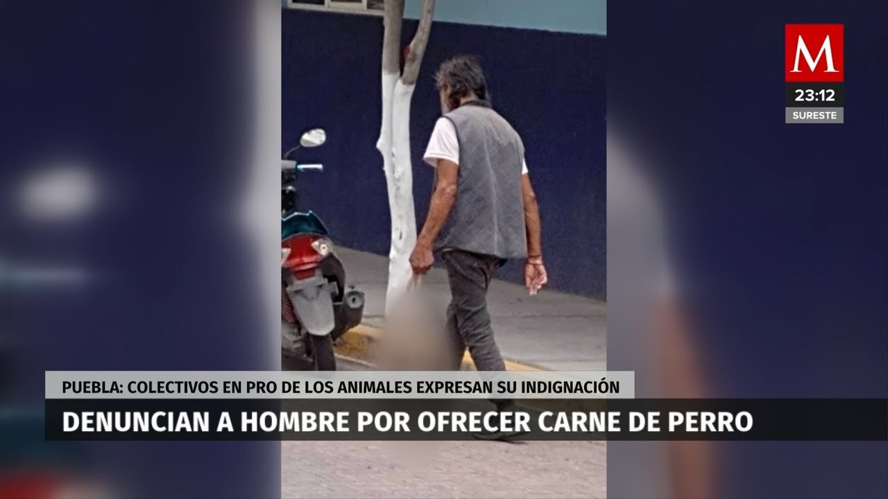 Hombre ofrece carne de perro para su consumo en Coapan, Puebla