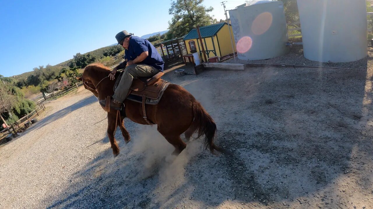 I got bucked off my horse - Beautiful Living Farmhouse #beautifullivingfarmhouse #farmlifebestlife