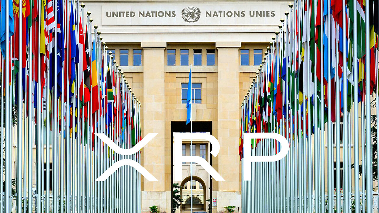 XRP RIPPLE UNITED NATIONS DROPS XRP BOMBSHELL !!!!!! 23 TRILLION SHIFT !!!!!!!