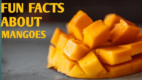 Fun facts about mango