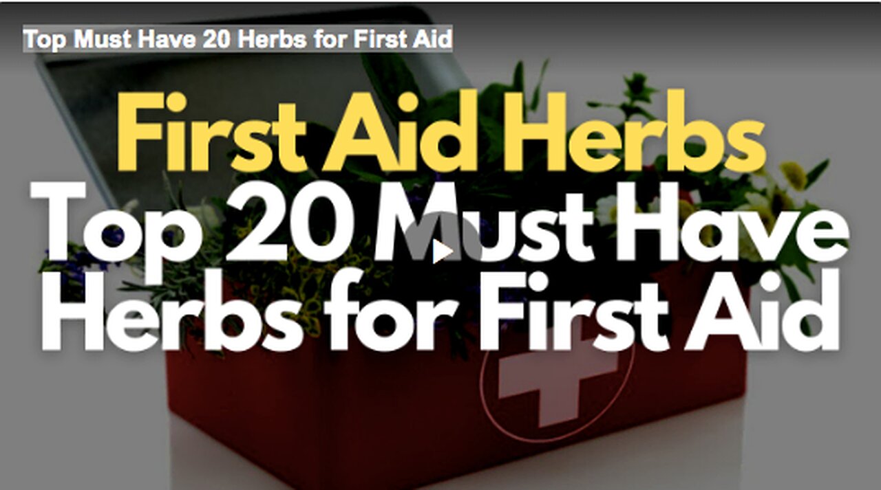 Top Must Have 20 Herbs for First Aid