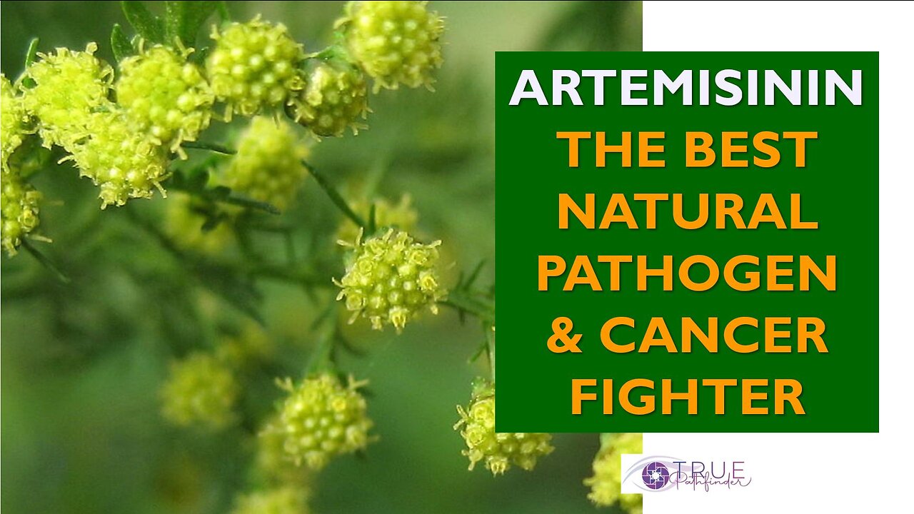 THE BEST NATURAL PATHOGEN & CANCER FIGHTER | True Pathfinder