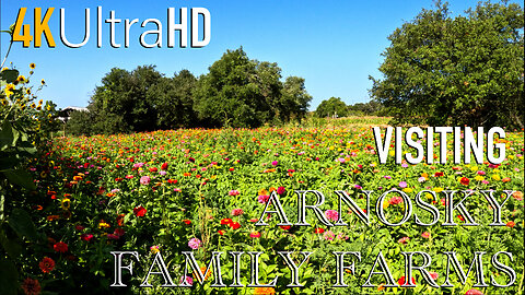 Arnosky Family Farms | Blue Barn Flower Farm | Blanco, TX | Central Texas | Flowers | Travel