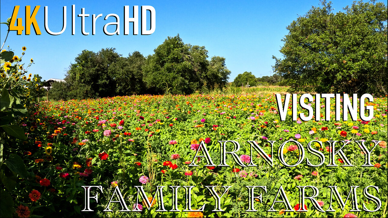 Arnosky Family Farms | Blue Barn Flower Farm | Blanco, TX | Central Texas | Flowers | Travel