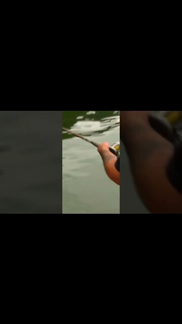 Barge Bite on the Ohio River #shorts