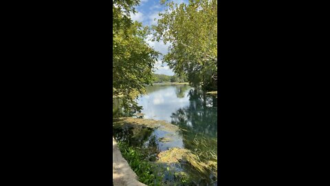 San Marcos River at Aquarena Springs