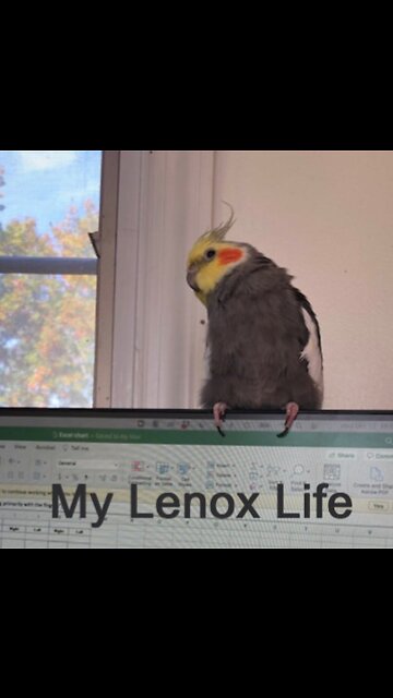 10.12.22 Take Your Bird To Work Day, by Lenox
