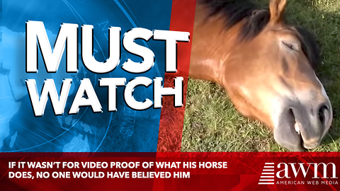 If It Wasn’t For Video Proof Of What His Horse Does, No One Would Have Believed Him