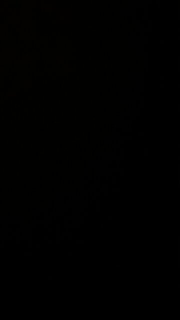 The march of the homosexual