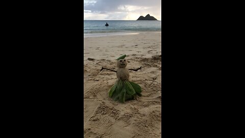 Hawaiian Christmas