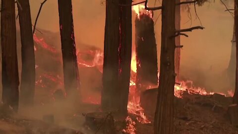 Why fire officials say it takes months to put out wildfires