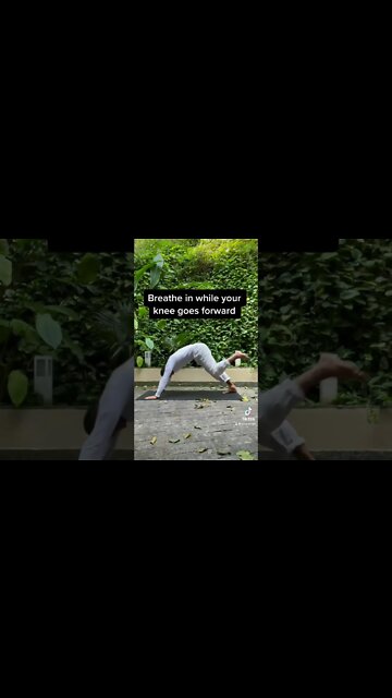 Downward Dog With Extra 🍑