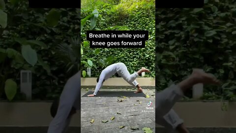 Downward Dog With Extra 🍑