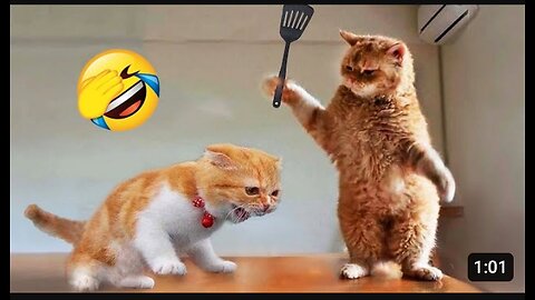 Funniest Animals 2023 😂 New Funny Cats and Dogs Videos 😻🐶