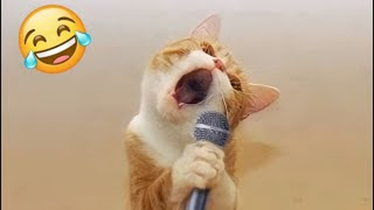 😂Best funny cats and dogs videos #Pet sings