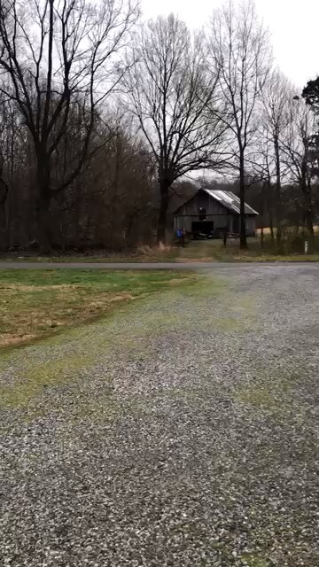 Donut + for a roll on toilet paper