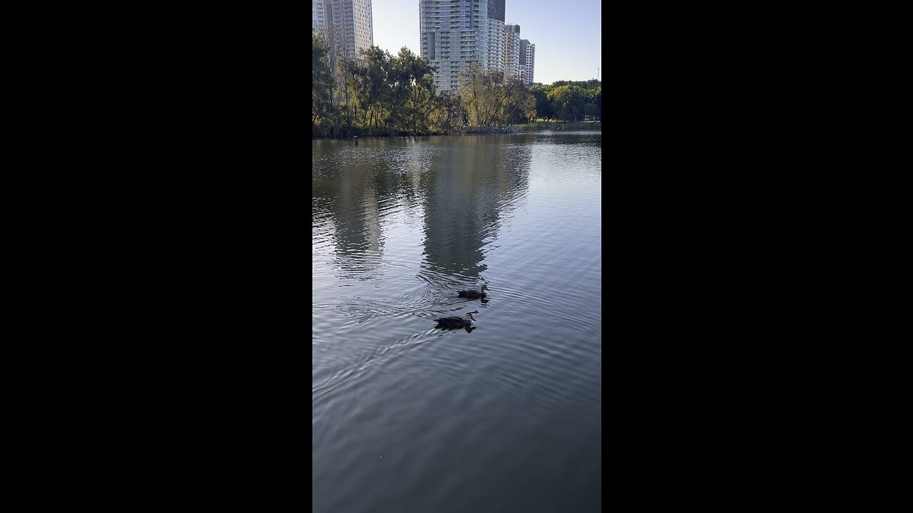 Sydney Olympic park #australia