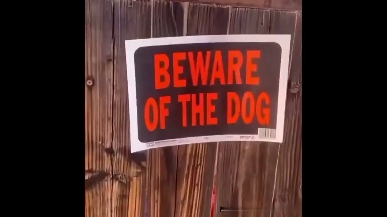 😂🤣😂😝🐶🐕