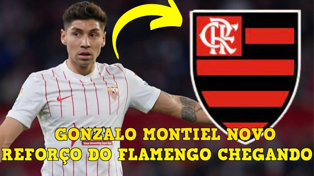 GONZALO MONTIEL NOVO REFORÇO NO FLAMENGO CHEGANDO - É TRETA!!! NOTÍCIAS DO FLAMENGO