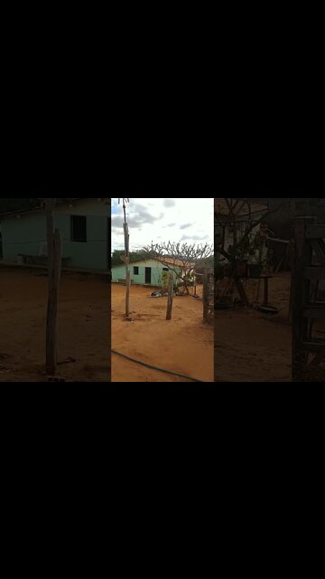 Hoje fomos para fazenda