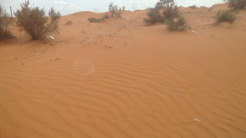 Relief after getting through crazy sandstorm in outback Australia 😓