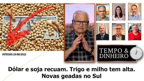 Dólar e soja recuam. Trigo e milho tem alta. Novas geadas no Sul