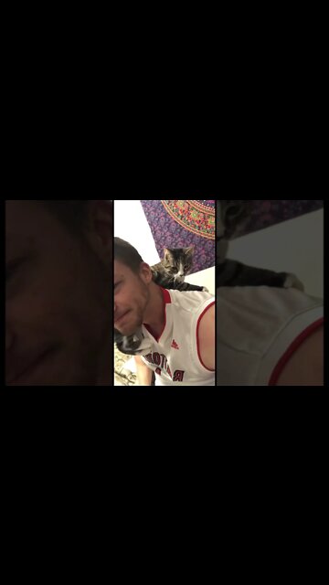 Cat climbing down my back