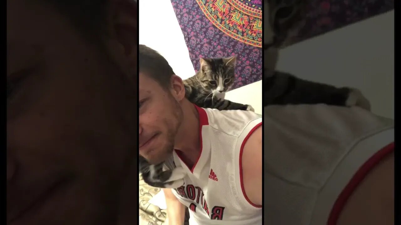 Cat climbing down my back