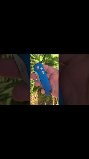 Hogue Ballista knife