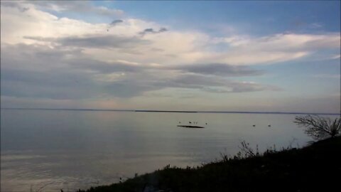 Shorty Scares The Geese