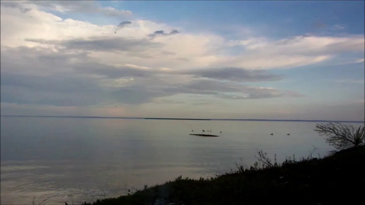 Shorty Scares The Geese