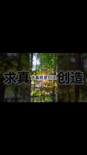 一句话开悟20220802