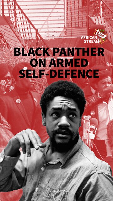 BLACK PANTHER ON ARMED SELF-DEFENCE