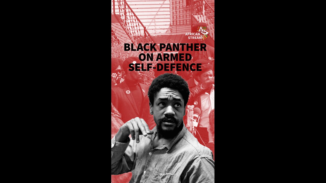 BLACK PANTHER ON ARMED SELF-DEFENCE