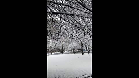Snow day