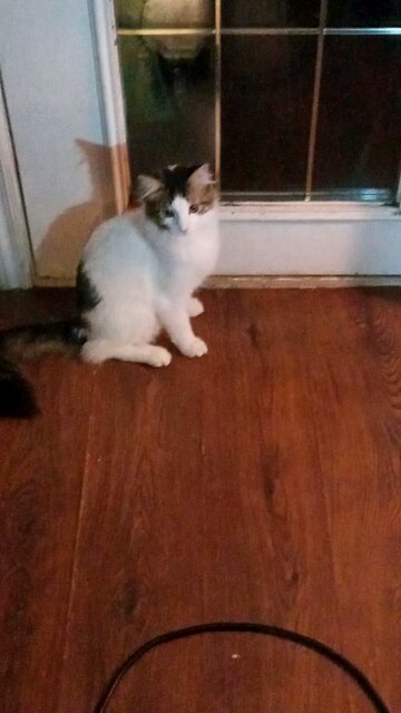 Salt And pepper Heading Out