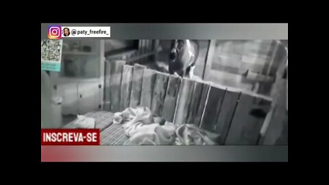 DINHO ALVES Briga feia com NEGO DO BOREL Treta completa na baia da fazenda 13