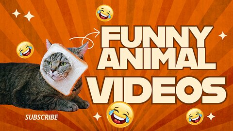 FUNNY ANIMAL VIDEOS