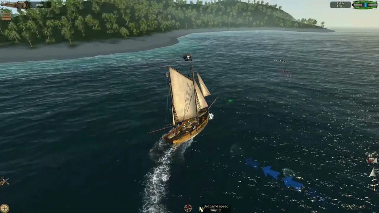 The Pirate: Caribbean Hunt-Tutorial