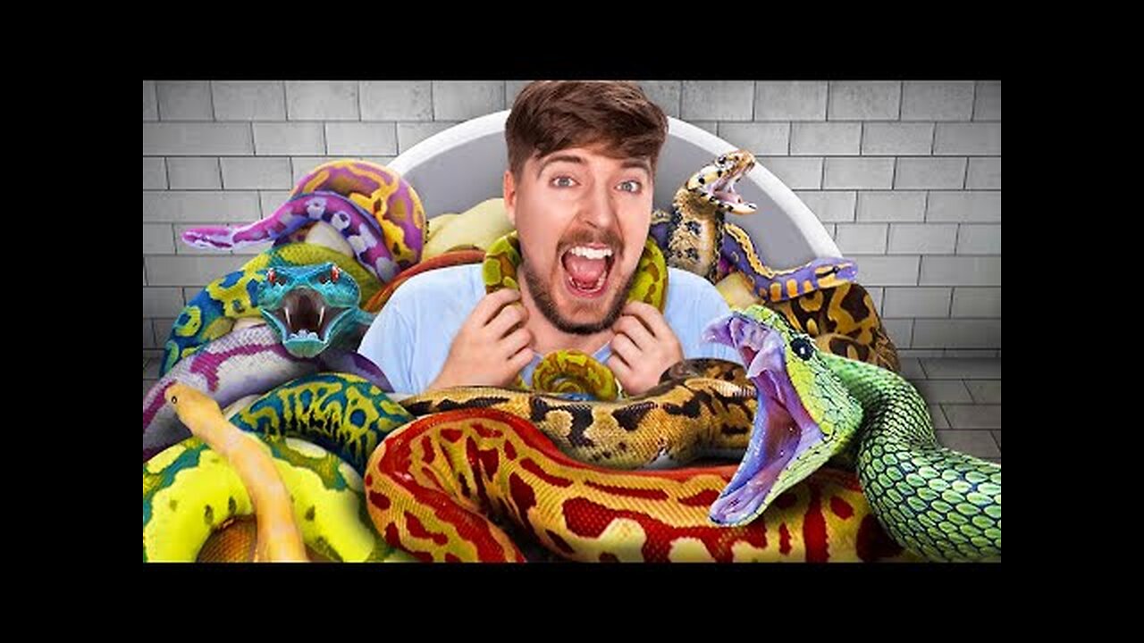 Would You Sit In Snakes For $10,000 | Mr Beast