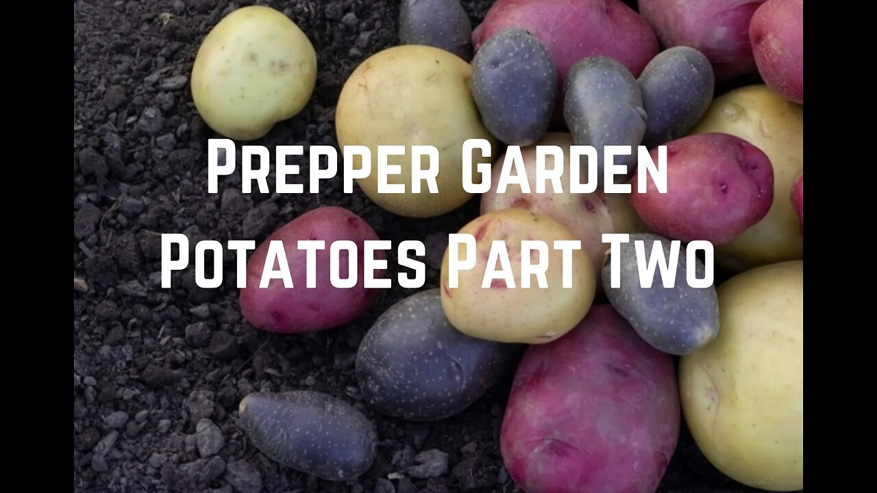 Prepper Garden: Grow Potatoes Part Two