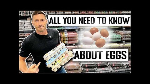 How to Shop for Eggs