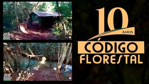 Especial 10 anos do Código Florestal. Veja o exemplo de Guaíra, RS