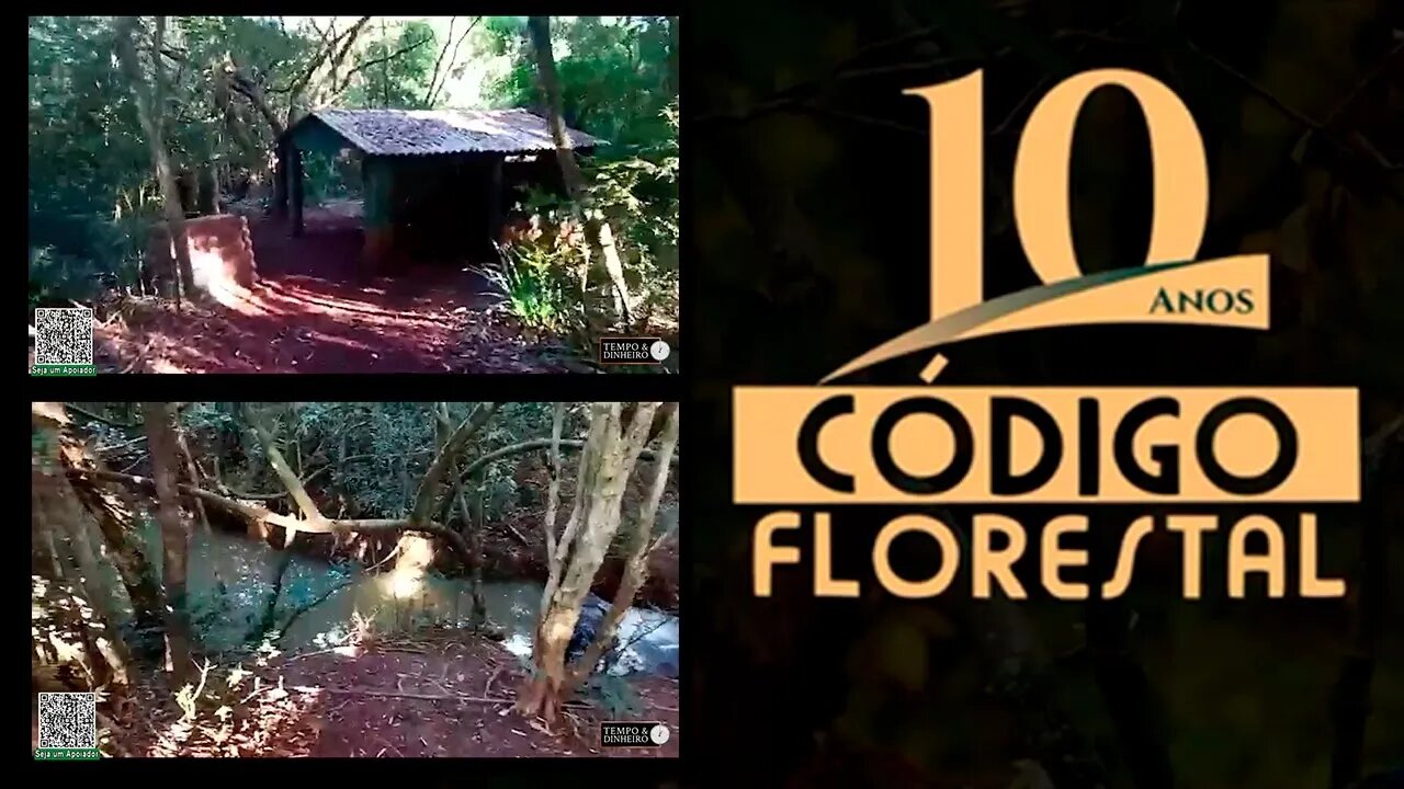 Especial 10 anos do Código Florestal. Veja o exemplo de Guaíra, RS