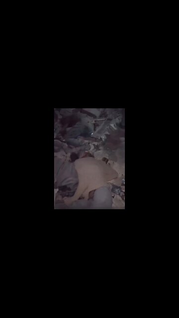 Dozens Killed by Jews in Al-Kuwait Roundabout in Northern Gaza