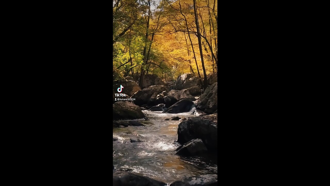 Wow iLove nature, run animals,
