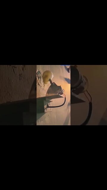 #shorts #2022 funny,prank,funjokes,dad jokes,funny memes,funny video,fun,laughing,funny animal,knock