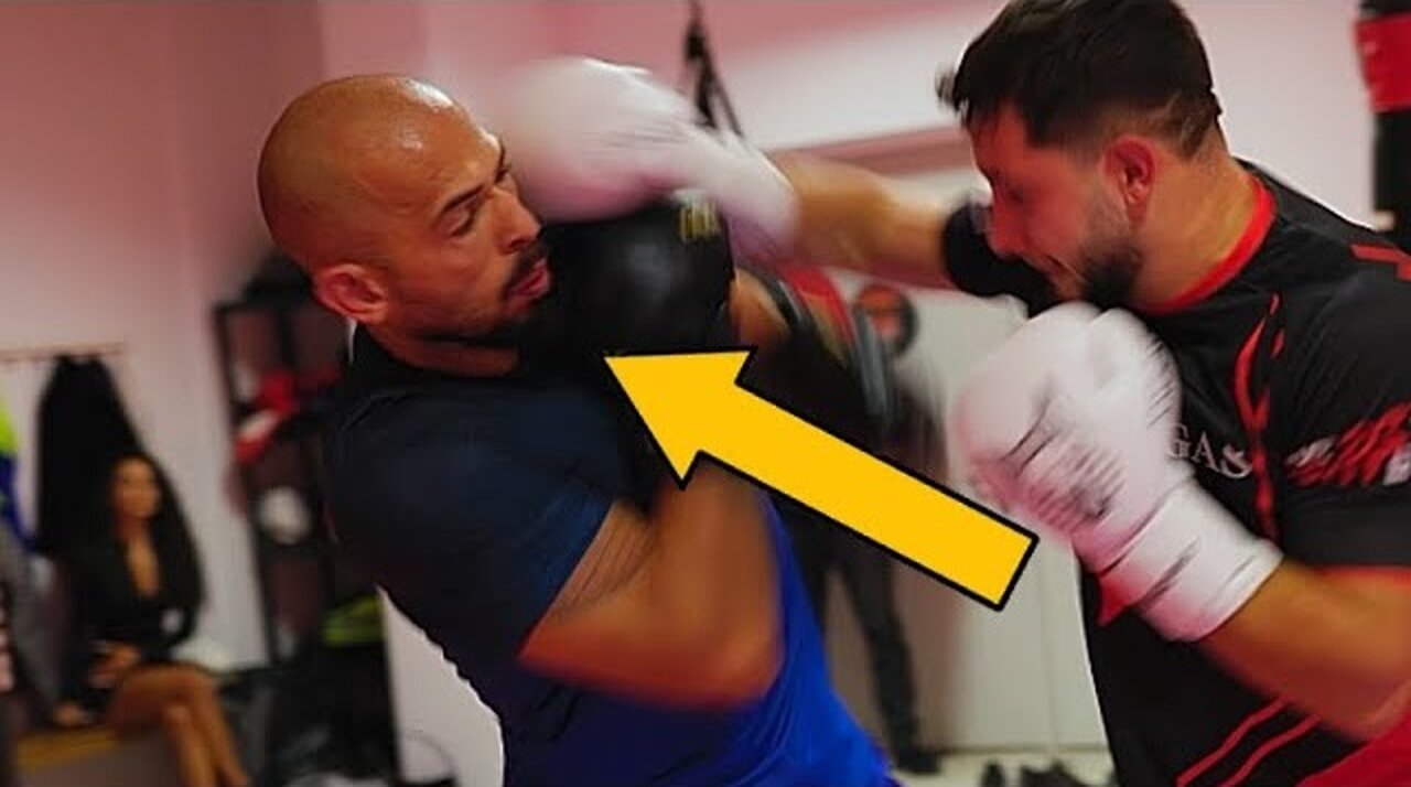 Andrew Tate DESTROYS Pro Boxers