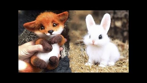 Cute baby animals Videos Compilation cute moment of the animals #19 Cutest Animals 2022