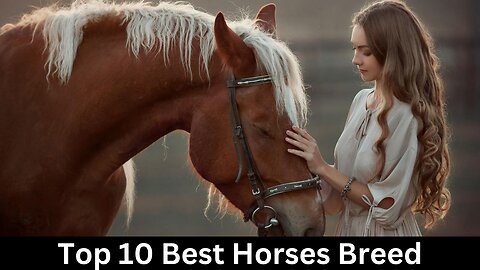 Beyond Beautiful: Discover the Top 10 Most Stunning Horse Breed on the Planet.